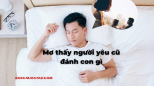 Mơ thấy người yêu cũ đánh con gì
