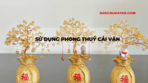 Sử dụng phong thuỷ cải vận