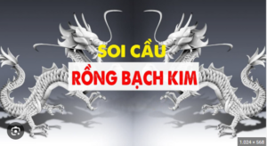 soi cầu rồng bạch kim có thực sự hiệu quả không