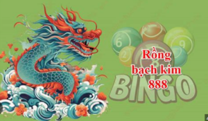Su hướng rồng bạch kim 888 và 247 kiểm soát rủi ro và biến động con số 