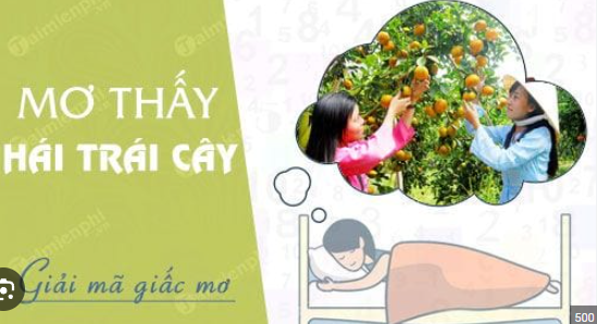 Mơ thấy ăn hoa quá đánh số gì? Giải mã giấc mơ ăn hoa quả soi cầu 247 az