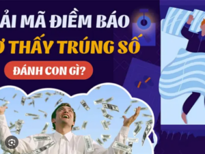 Soicau247az.com soi cầu dự đoán kết quả xổ sổ miền bắc 