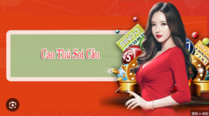Cao thủ soi cầu 247 