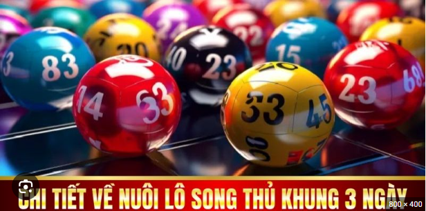 Cách vào tiền nuôi lô song thủ siêu chính xác 100%