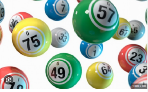 rồng bạch kim 666