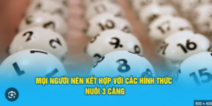 Kinh nghiệm nuôi 3 càng đề